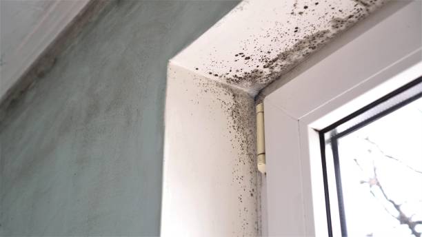 Water Damage Restoration in Big Bend, WI
