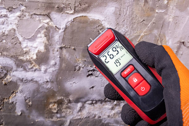 Best Water Damage Restoration  in Big Bend, WI