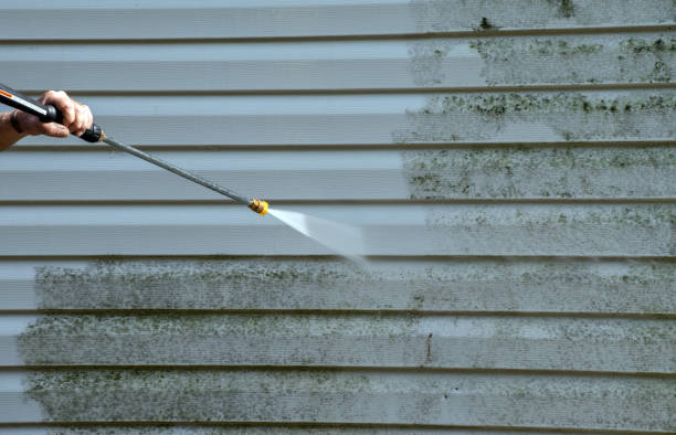 Office Mold Removal Services in Big Bend, WI
