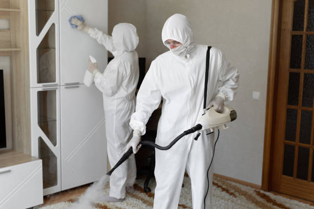Best Crawl Space Mold Removal  in Big Bend, WI